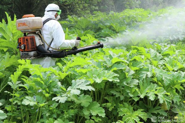 1559781585_0-0-1500-1026_1440x900_80_1_1_9cd643c28e5df1d612d9392ac36ab8fe