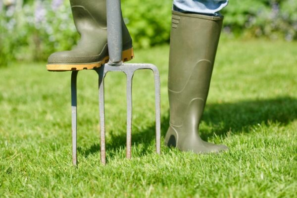 7640884213ef11e7829e002522b3de90_e6b54022146c11e7829e002522b3de90-scaled