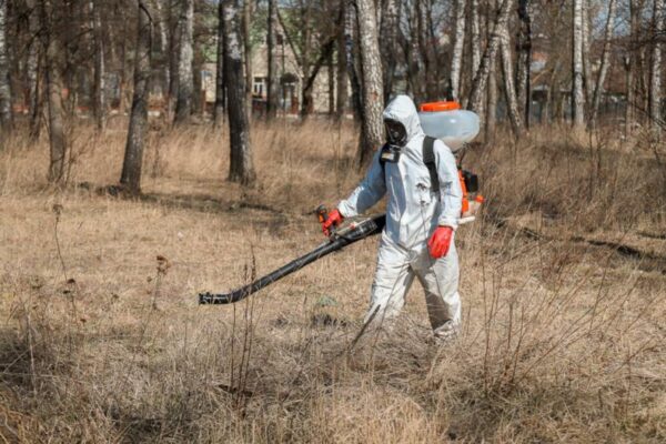 cdc7dabc841d452386e9a6c491ce7356