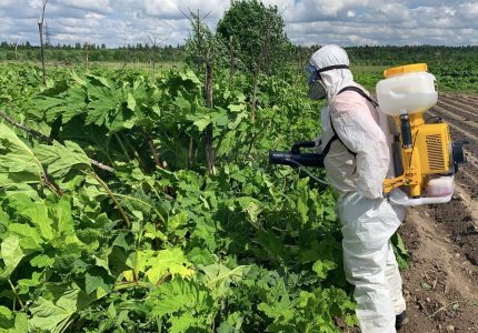 183633371_317452106574403_8489874781532619551_n