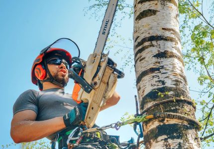 213806881_1145445785945447_8776419758319778341_n-1