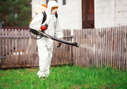 photo_2023-06-11_02-41-14