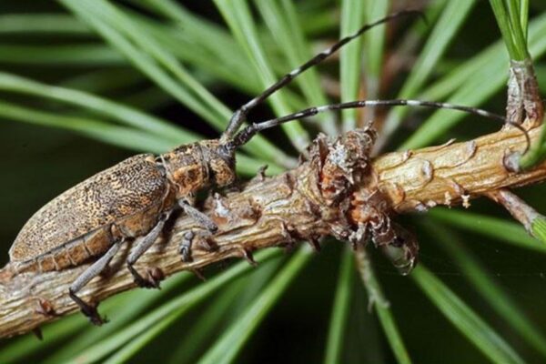 photo_2024-03-16_15-01-08